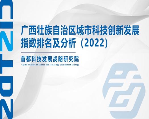 大鸡巴操嫩穴视频在线【成果发布】广西壮族自治区城市科技创新发展指数排名及分析（2022）